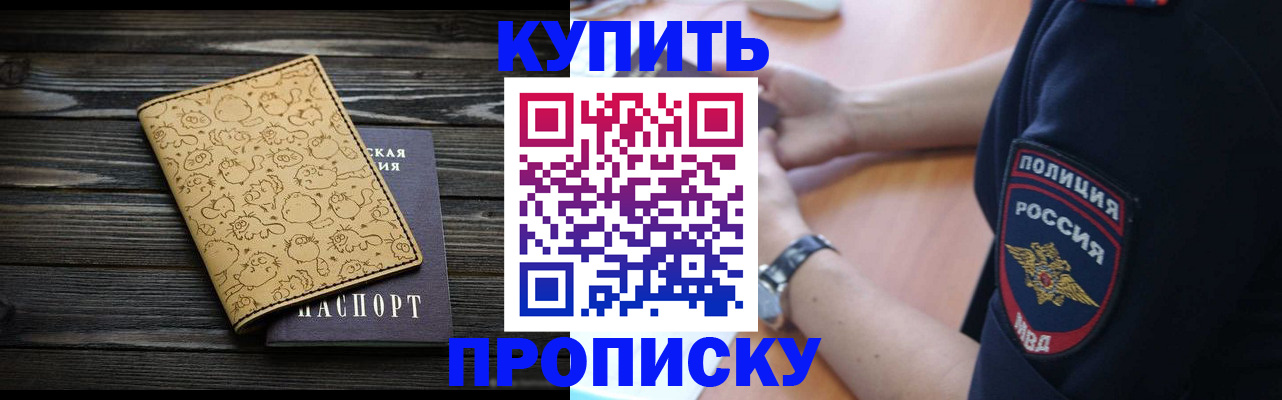 прописка гарантия в Апатитах